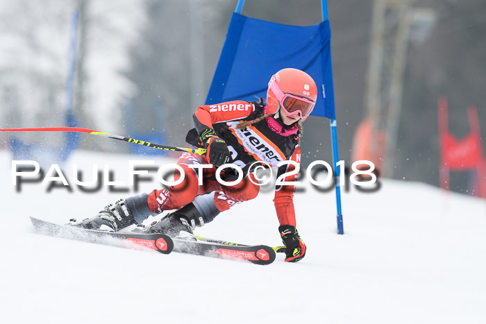 BSV U12 Kids Cross Cup 3 Region 3, 24.02.2018