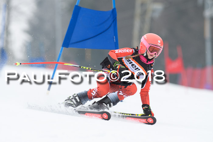 BSV U12 Kids Cross Cup 3 Region 3, 24.02.2018