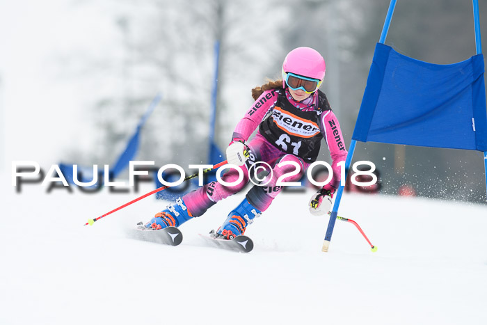 BSV U12 Kids Cross Cup 3 Region 3, 24.02.2018