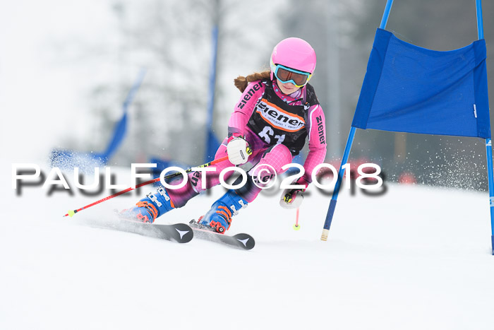 BSV U12 Kids Cross Cup 3 Region 3, 24.02.2018