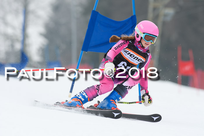 BSV U12 Kids Cross Cup 3 Region 3, 24.02.2018