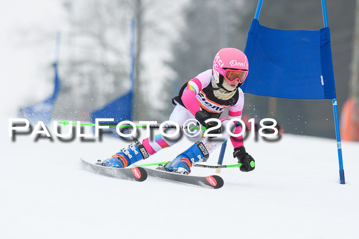 BSV U12 Kids Cross Cup 3 Region 3, 24.02.2018