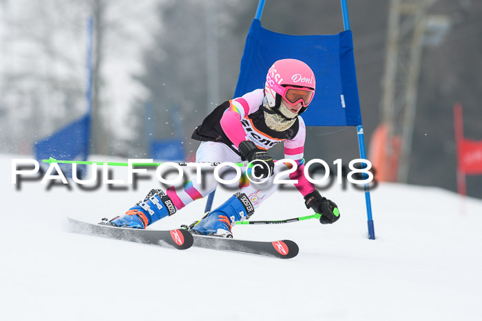 BSV U12 Kids Cross Cup 3 Region 3, 24.02.2018