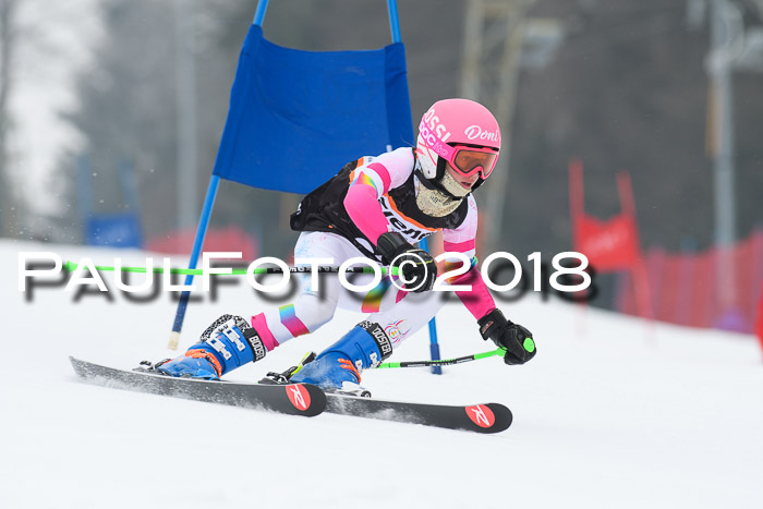BSV U12 Kids Cross Cup 3 Region 3, 24.02.2018