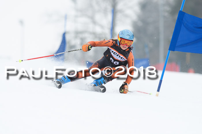 BSV U12 Kids Cross Cup 3 Region 3, 24.02.2018