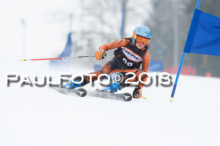 BSV U12 Kids Cross Cup 3 Region 3, 24.02.2018