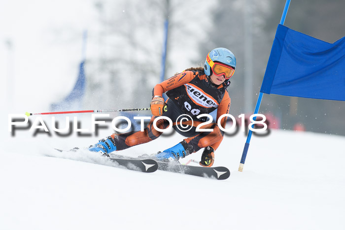BSV U12 Kids Cross Cup 3 Region 3, 24.02.2018