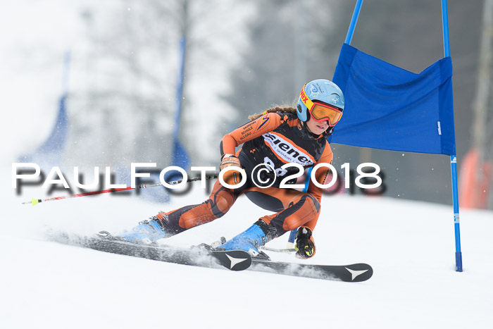 BSV U12 Kids Cross Cup 3 Region 3, 24.02.2018