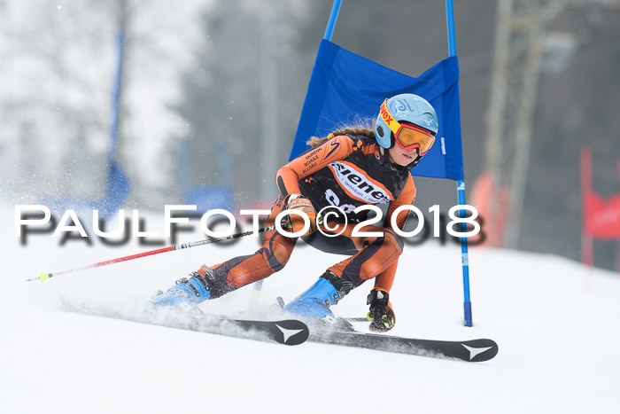 BSV U12 Kids Cross Cup 3 Region 3, 24.02.2018
