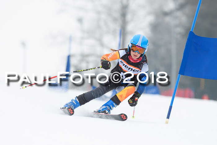 BSV U12 Kids Cross Cup 3 Region 3, 24.02.2018