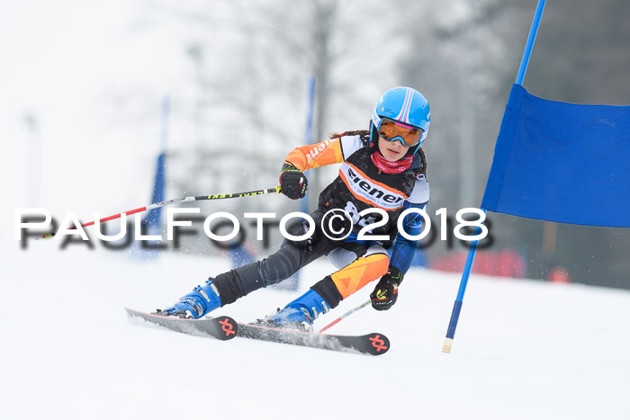 BSV U12 Kids Cross Cup 3 Region 3, 24.02.2018