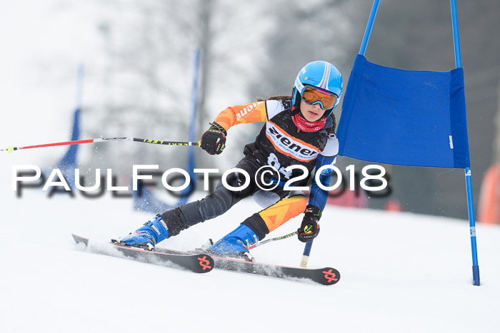 BSV U12 Kids Cross Cup 3 Region 3, 24.02.2018
