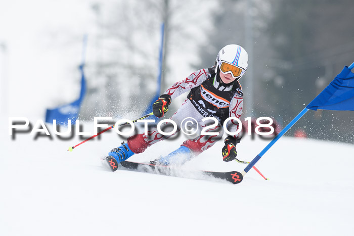 BSV U12 Kids Cross Cup 3 Region 3, 24.02.2018