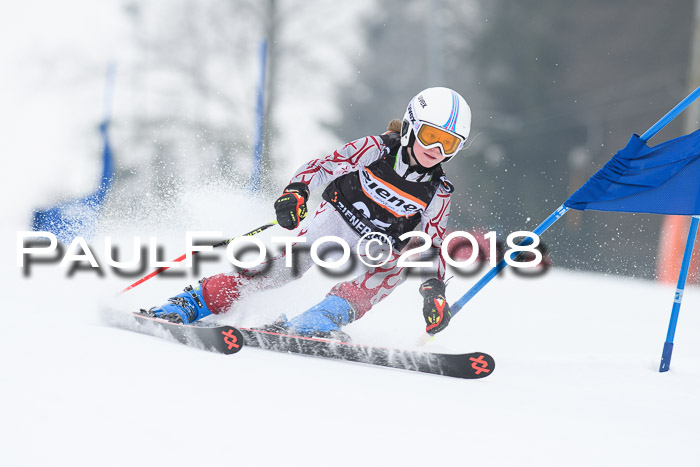 BSV U12 Kids Cross Cup 3 Region 3, 24.02.2018