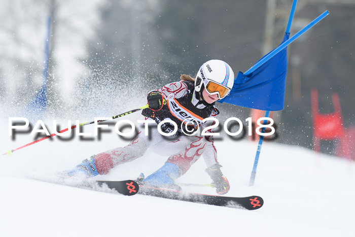 BSV U12 Kids Cross Cup 3 Region 3, 24.02.2018