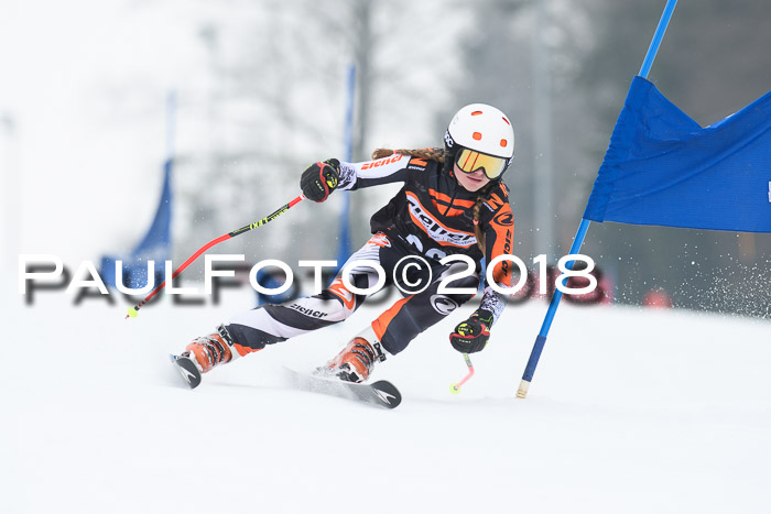 BSV U12 Kids Cross Cup 3 Region 3, 24.02.2018