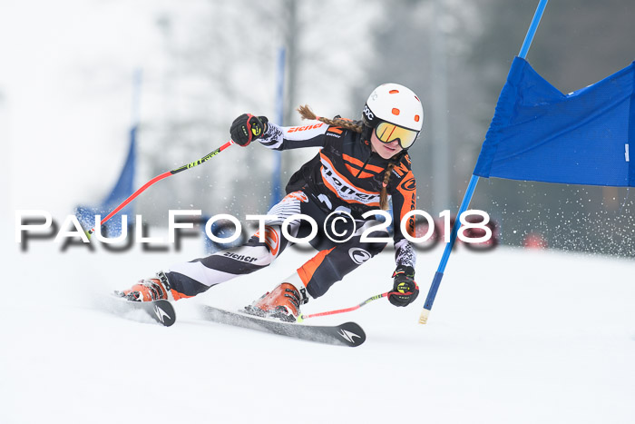 BSV U12 Kids Cross Cup 3 Region 3, 24.02.2018