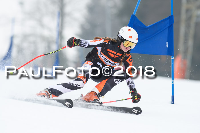 BSV U12 Kids Cross Cup 3 Region 3, 24.02.2018