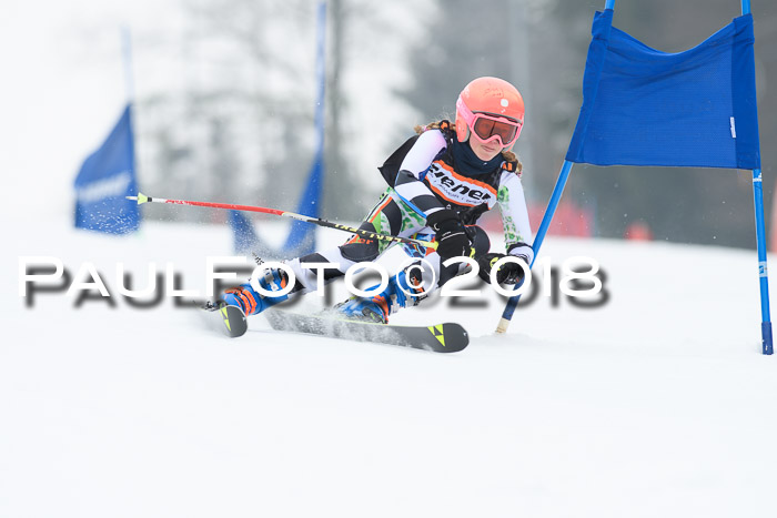 BSV U12 Kids Cross Cup 3 Region 3, 24.02.2018