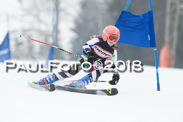 BSV U12 Kids Cross Cup 3 Region 3, 24.02.2018