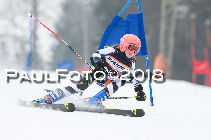 BSV U12 Kids Cross Cup 3 Region 3, 24.02.2018