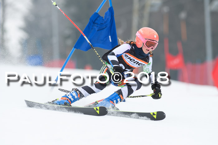 BSV U12 Kids Cross Cup 3 Region 3, 24.02.2018
