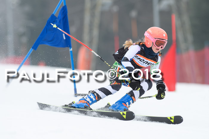 BSV U12 Kids Cross Cup 3 Region 3, 24.02.2018