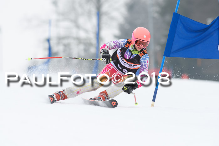 BSV U12 Kids Cross Cup 3 Region 3, 24.02.2018