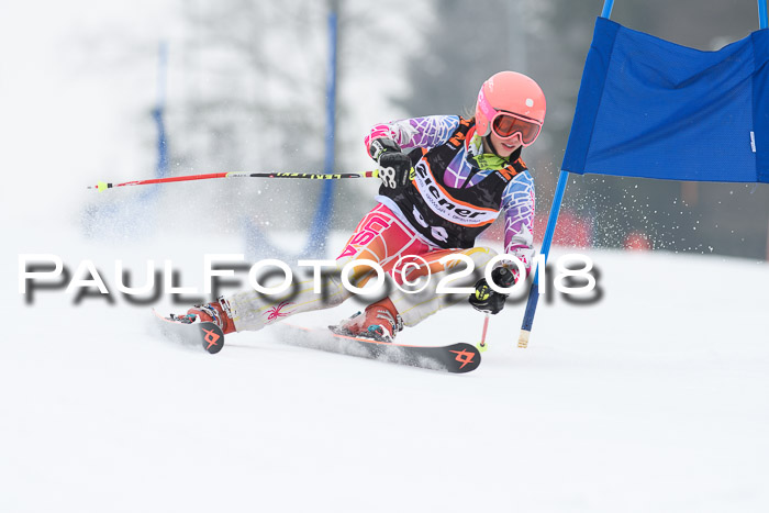 BSV U12 Kids Cross Cup 3 Region 3, 24.02.2018