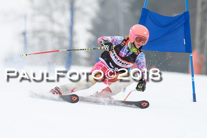 BSV U12 Kids Cross Cup 3 Region 3, 24.02.2018