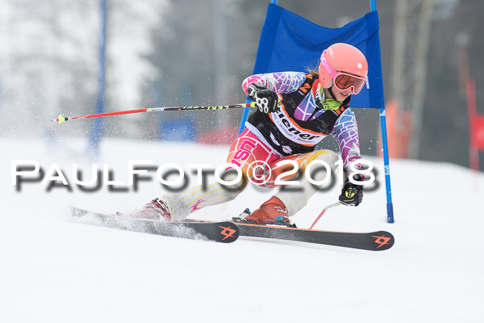 BSV U12 Kids Cross Cup 3 Region 3, 24.02.2018