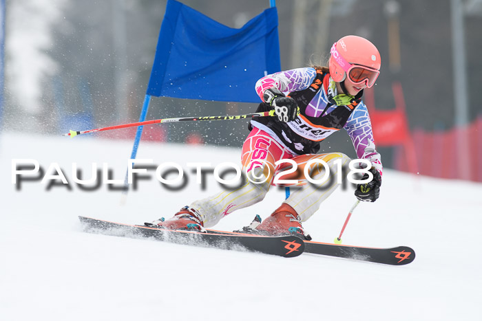 BSV U12 Kids Cross Cup 3 Region 3, 24.02.2018