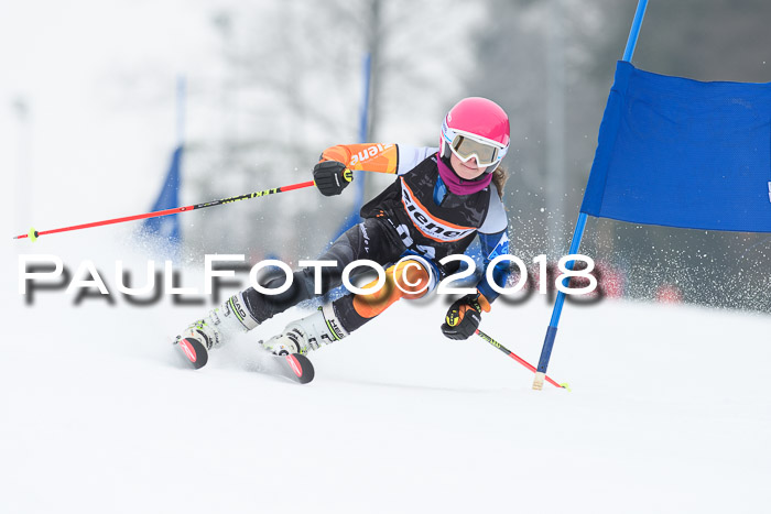 BSV U12 Kids Cross Cup 3 Region 3, 24.02.2018