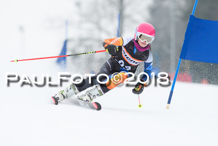 BSV U12 Kids Cross Cup 3 Region 3, 24.02.2018