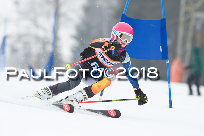 BSV U12 Kids Cross Cup 3 Region 3, 24.02.2018