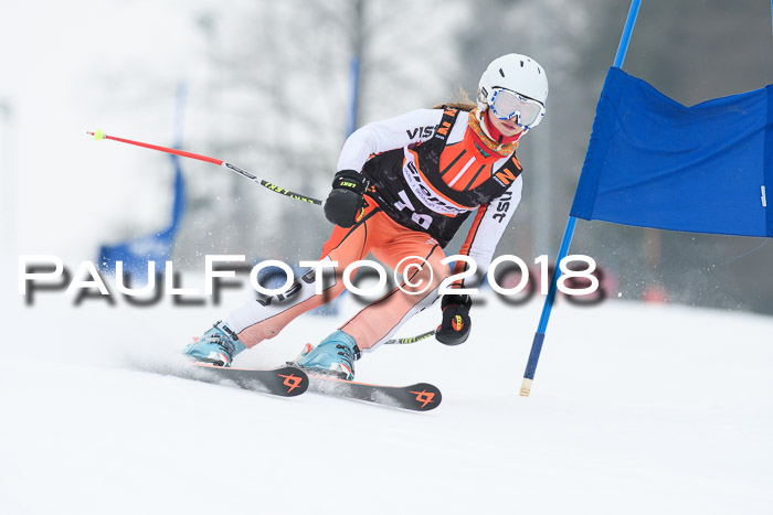 BSV U12 Kids Cross Cup 3 Region 3, 24.02.2018