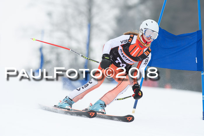 BSV U12 Kids Cross Cup 3 Region 3, 24.02.2018