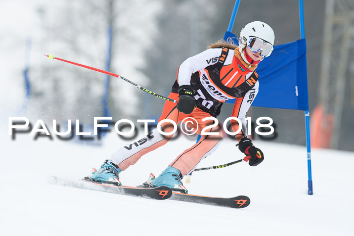 BSV U12 Kids Cross Cup 3 Region 3, 24.02.2018