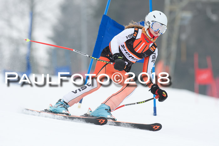 BSV U12 Kids Cross Cup 3 Region 3, 24.02.2018