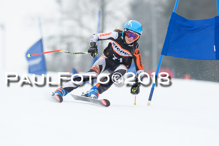 BSV U12 Kids Cross Cup 3 Region 3, 24.02.2018