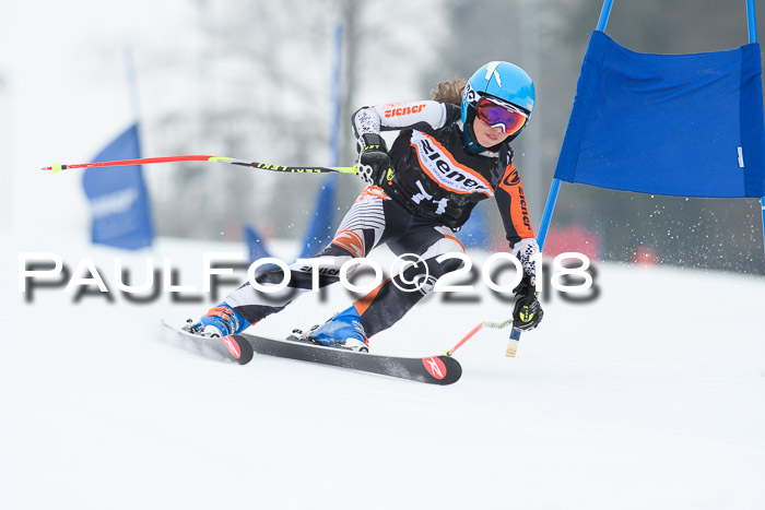 BSV U12 Kids Cross Cup 3 Region 3, 24.02.2018