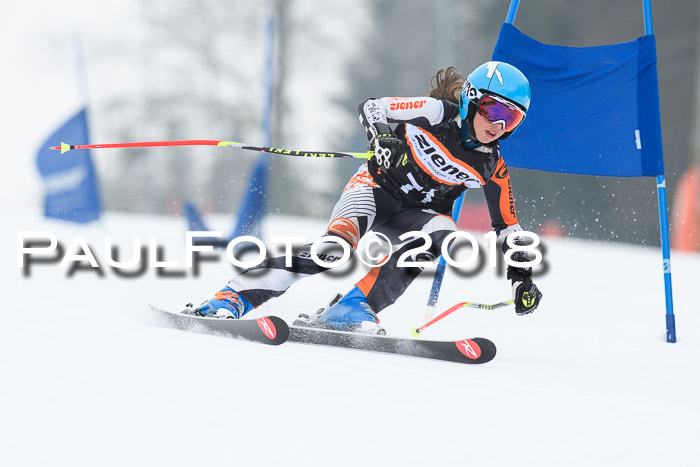 BSV U12 Kids Cross Cup 3 Region 3, 24.02.2018