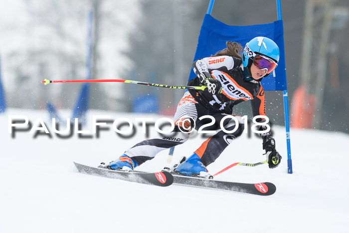 BSV U12 Kids Cross Cup 3 Region 3, 24.02.2018