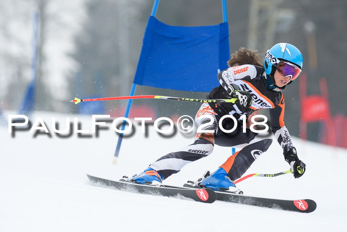 BSV U12 Kids Cross Cup 3 Region 3, 24.02.2018