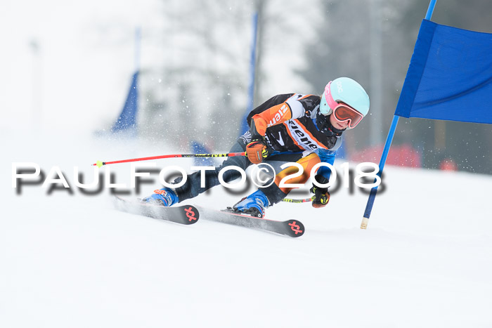 BSV U12 Kids Cross Cup 3 Region 3, 24.02.2018