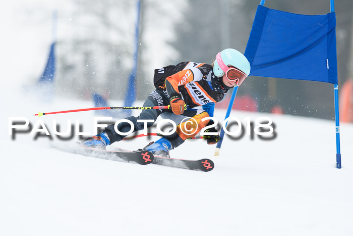BSV U12 Kids Cross Cup 3 Region 3, 24.02.2018