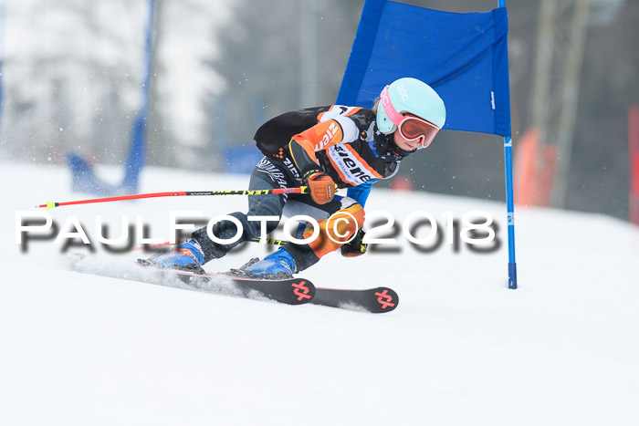 BSV U12 Kids Cross Cup 3 Region 3, 24.02.2018