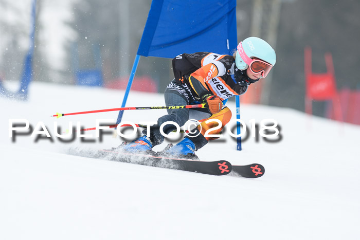 BSV U12 Kids Cross Cup 3 Region 3, 24.02.2018