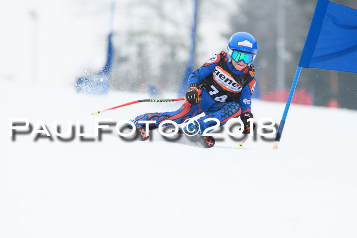 BSV U12 Kids Cross Cup 3 Region 3, 24.02.2018