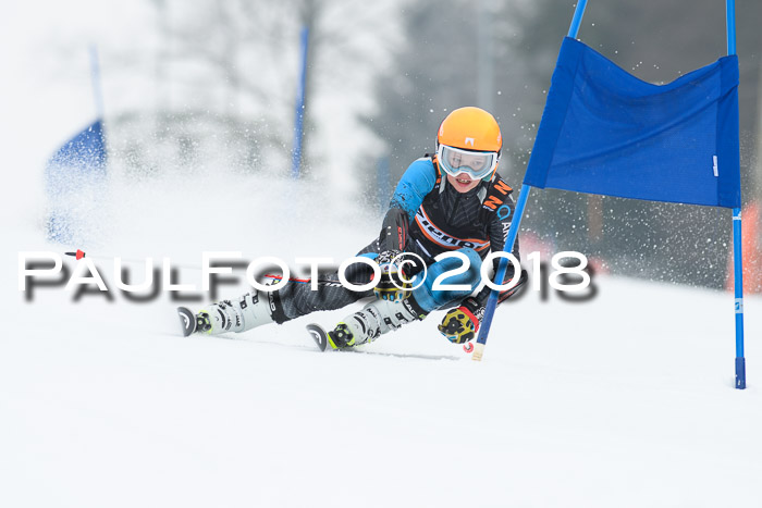 BSV U12 Kids Cross Cup 3 Region 3, 24.02.2018